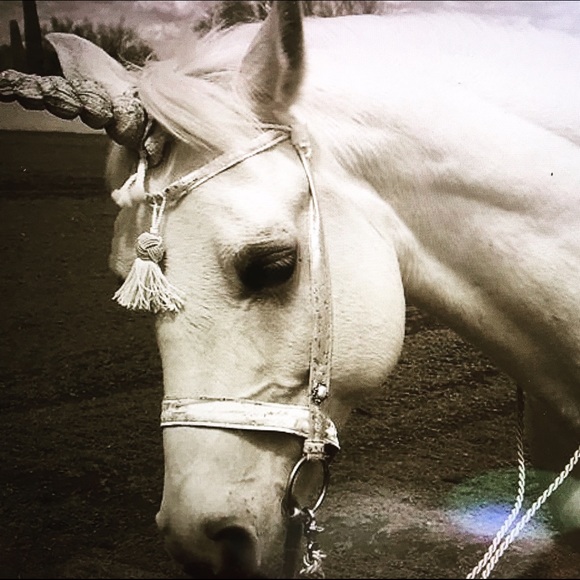 Profile Picture of Al Parker (@allisonvparker) on Poshmark