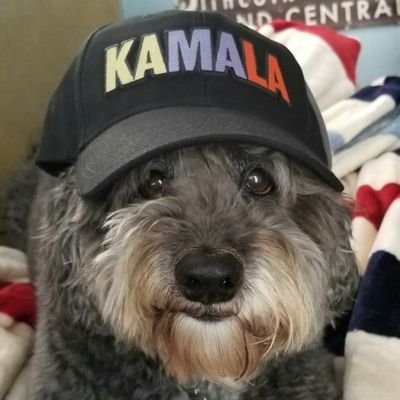Profile Picture of Christopher Brennan (@YouHateChrisHuh) on Twitter