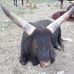 Profile Picture of Karen Rosenzweig (Karen Mullins  Uribe) (@karen.rosenzweig.351) on Facebook