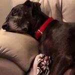 Profile Picture of Tracie McGee (@tracie.mcgee) on Instagram