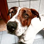 Profile Picture of Scott y Luck (@scott_y_luck) on Instagram