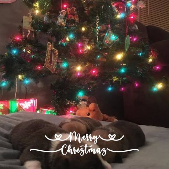 Profile Picture of Ben and lacy Crabtree (@shoppee37) on Poshmark
