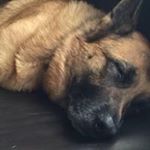 Profile Picture of Howard Clark (@howardclark2661) on Instagram