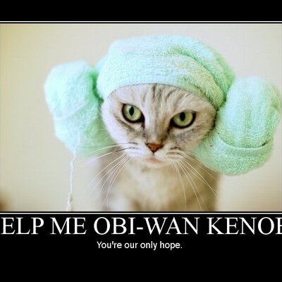 Profile Picture of Richard McNutt (@richardmcnutt) on Twitter