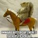 Profile Picture of Eliza Tolbert (@elizatolbert) on Pinterest