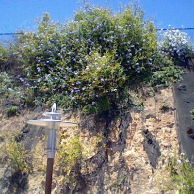 Profile Picture of Micah Benjamin (@micah_benjamin) on Twitter