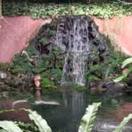 Profile Picture of PronTip Mark (@neung.mark) on Facebook