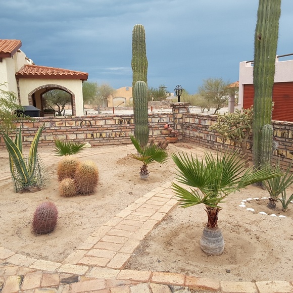 Profile Picture of Cindy Siepert (@cindysiepert) on Poshmark