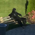 Profile Picture of Michael Artale (Are-tal-e) (@leahcimelatra) on Instagram