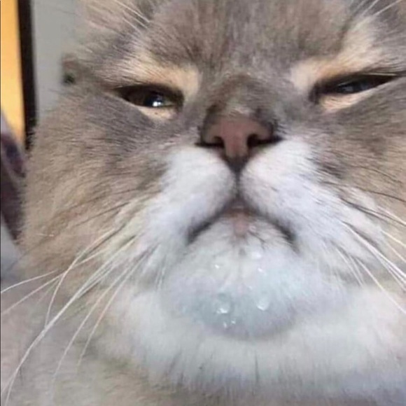 Profile Picture of David Zaragoza (@dxvidzaragoza) on Poshmark