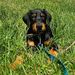 Profile Picture of Lillian Borges (@lillybinc) on Pinterest