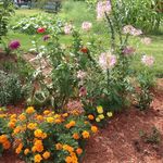 Profile Picture of Marilyn Witherell (@marilyn_witherell) on Instagram