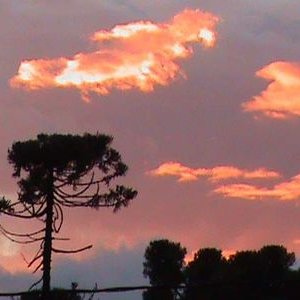 Profile Picture of Boris Acevedo Cardenas (@bmoonbla) on Twitter