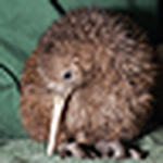 Profile Picture of Thomas  Burns (@thomas stephen burns) on Flickr