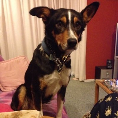 Profile Picture of Nicholas Durkin (@cactus22) on Twitter