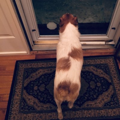 Profile Picture of Logan Boyer (@LoganBoyer17) on Twitter