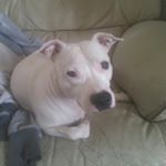 Profile Picture of Paul Johnstone (@pauljohnstone063) on Instagram