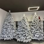 Profile Picture of Denis Lesyuk (@denis.lesyuk.96) on Facebook