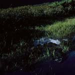 Profile Picture of Faye_Keller (@faye_kellerw) on Instagram