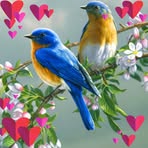 Profile Picture of Wilma Dean DH (@Wilma-Dean-DH) on Facebook