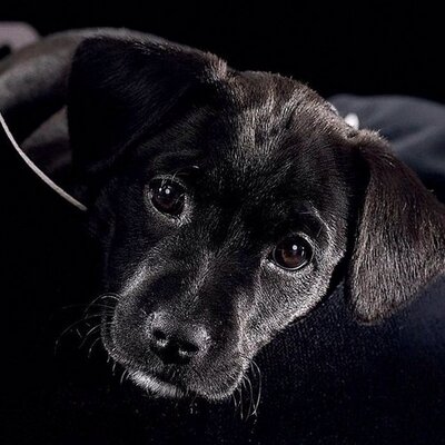 Profile Picture of Alex Keeton (@alex_keeton) on Twitter