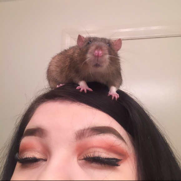 Angela Chauvette - Poshmark Profile Picture of Angela Chauvette (@hummingbxrd) on Poshmark