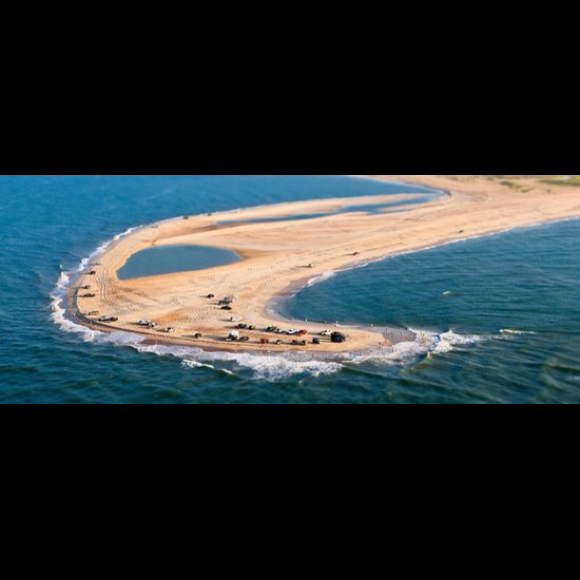 Profile Picture of Dee Tickner (@dee0419) on Poshmark