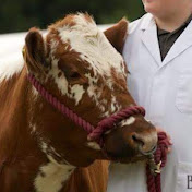 Profile Picture of Stuart Angus Photography (@stuartangusphotography7059) on Youtube