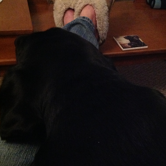 Profile Picture of B Johnson (@barbierago) on Poshmark