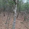 Profile Picture of Michael (@captain_america79) on Tiktok
