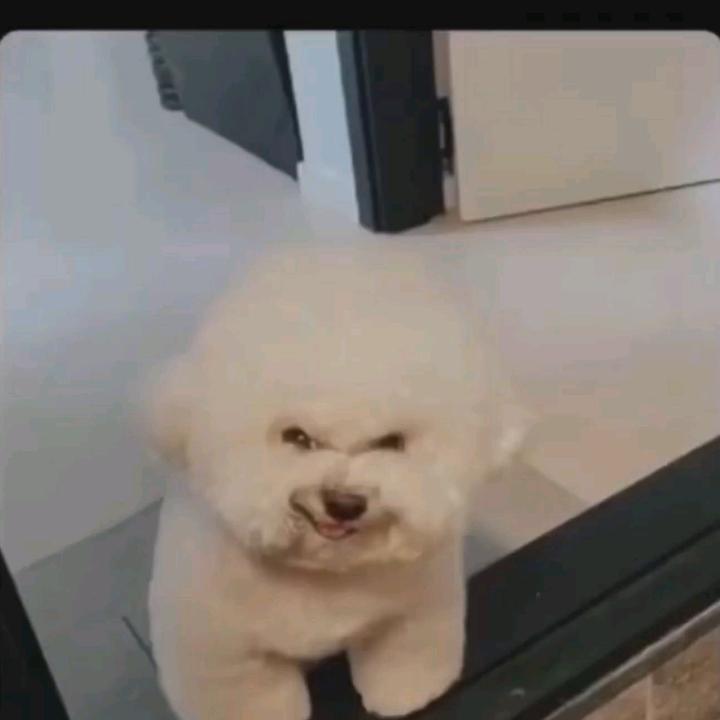 Profile Picture of $$$$ (@james_caldwell) on Tiktok