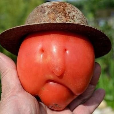 Profile Picture of Dave Reese (@DaveBrianReese) on Twitter
