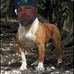 Profile Picture of Brian Gruber (@brian.gruber.3979) on Facebook
