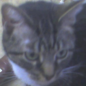 Profile Picture of Catherine M. Sciarra (@235833262) on Myspace