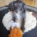 Profile Picture of Iris Bachmann (@iris.bachmann.94) on Facebook