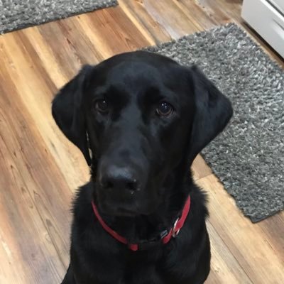 Scott Nobles - Twitter Profile Picture of Scott Nobles (@ScottNobles5) on Twitter