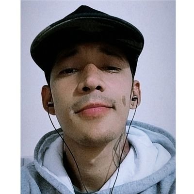 Profile Picture of Leonardo Steinwandt (@LeonardoSteinw3) on Twitter