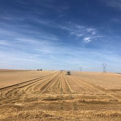 Profile Picture of David Lapie (@david.lapie) on Tiktok