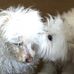Profile Picture of Lori Forcier (@lori.forcier.7) on Facebook