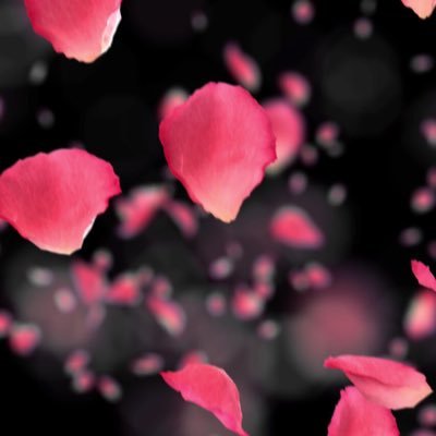 Profile Picture of Tracy McEntee (@tracy01234) on Twitter