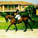 Profile Picture of Paul Flanders (@p.flanders) on Instagram