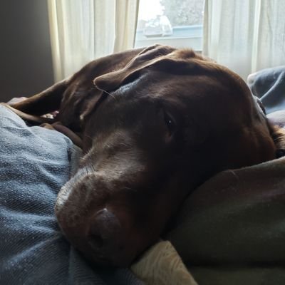 Profile Picture of Jenny And Tom (@JennyAndTomWO) on Twitter