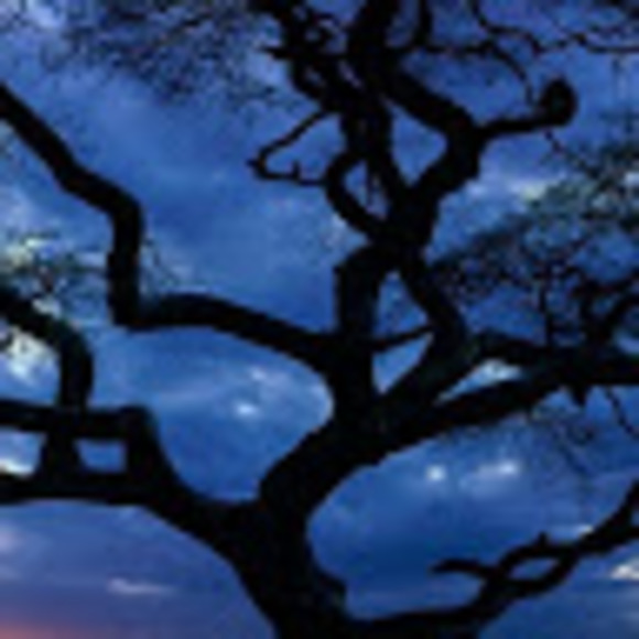 Amelia Katula - Poshmark Profile Picture of Amelia Katula (@aimsolveig16) on Poshmark