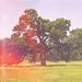 Profile Picture of Jonathan Pinkston (@forestoffood) on Pinterest