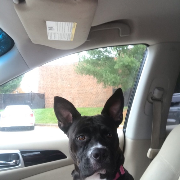 Sandra Schofield - Poshmark Profile Picture of Sandra Schofield (@sks8978) on Poshmark