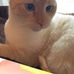 Profile Picture of Madison Dunway (@madison.dunaway.758) on Facebook