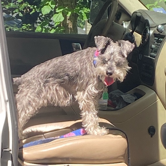 Profile Picture of Adam Slovensky (@adamslo) on Poshmark