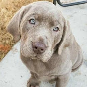 Profile Picture of Cassandra Day (@cassandraday7166) on Youtube