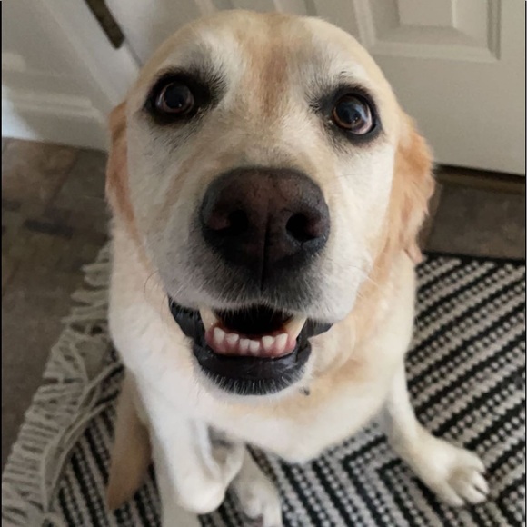 Profile Picture of Graden Matschulat (@graden_m) on Poshmark