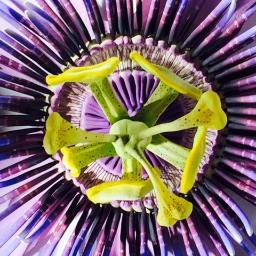 Sarah Wall - Twitter Profile Picture of Sarah Wall (@sarah_wall) on Twitter